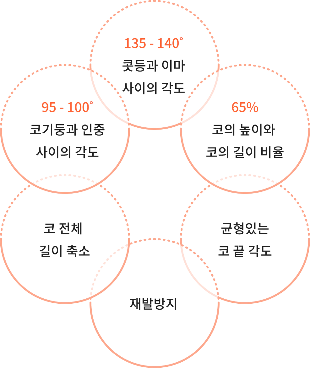 코 성형 수술시 기준이 되는 요소.